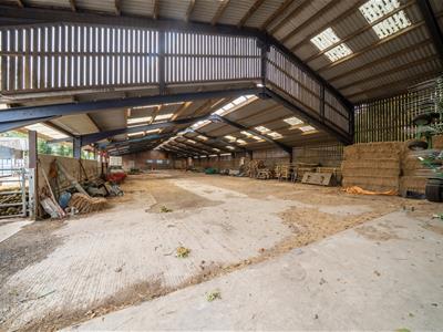 Picture 25